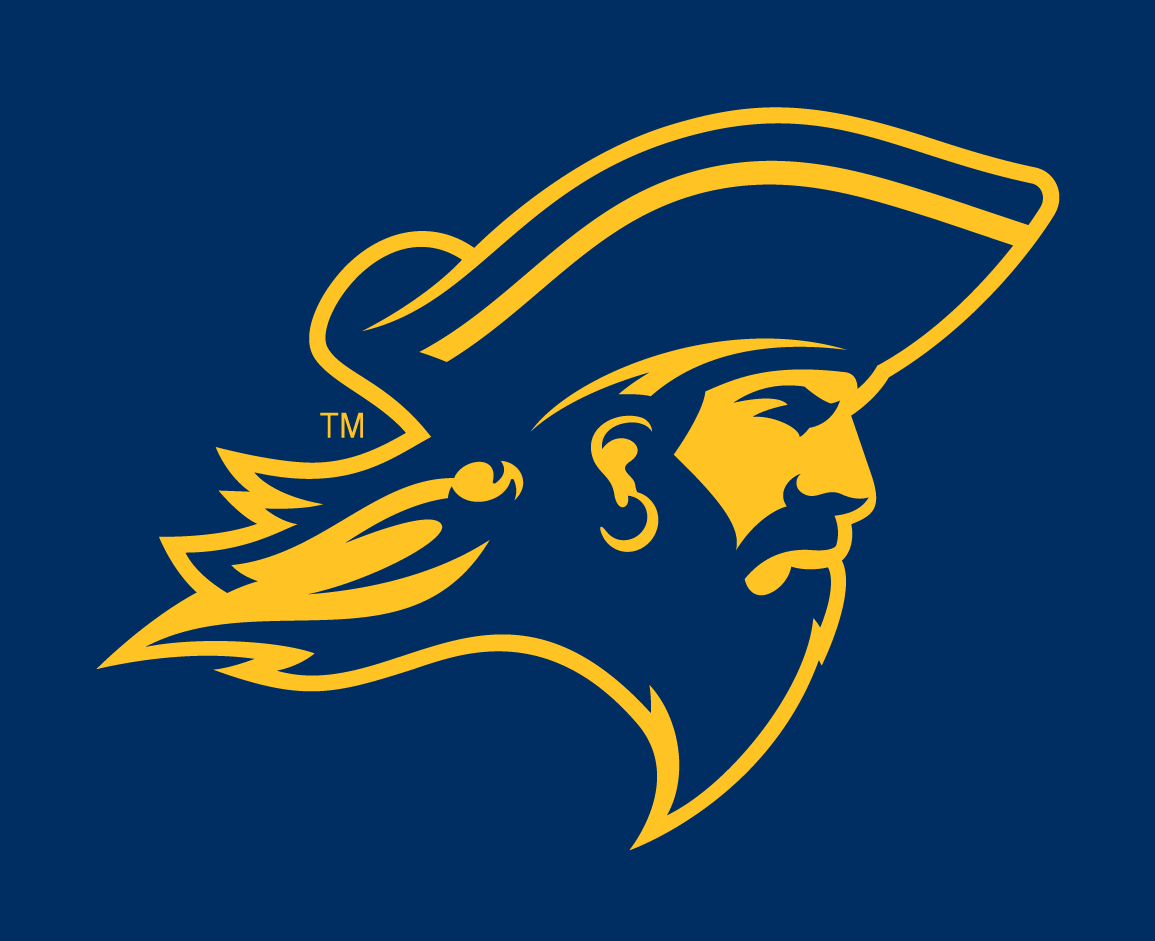 ETSU Buccaneers 2014-Pres Partial Logo v4 iron on transfers for fabric